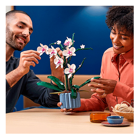 LEGO 10311 Botanicals Orquídea