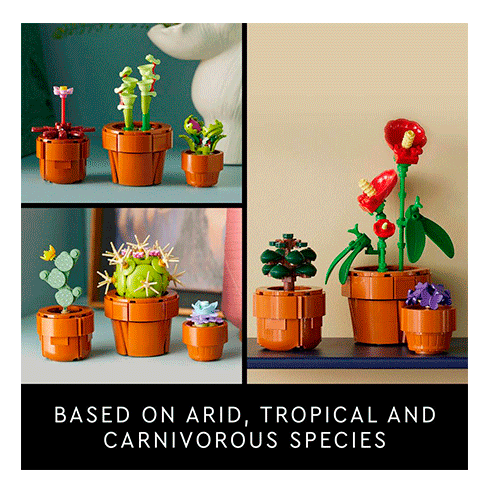 LEGO 10329 Botanicals Plantas em Miniatura