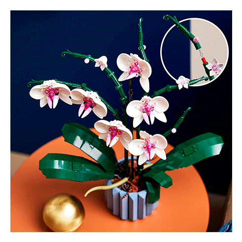 LEGO 10311 Botanicals Orquídea