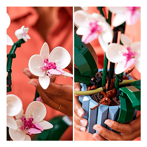 LEGO 10311 Botanicals Orquídea
