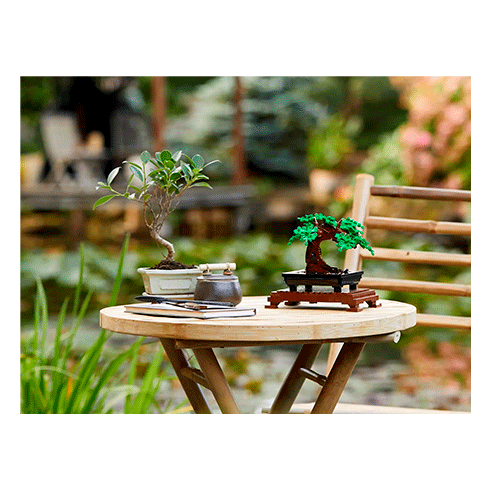 LEGO 10281 Botanicals Bonsai