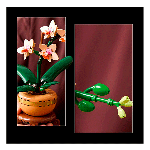 LEGO 10343 Botanicals Orquídea em Miniatura