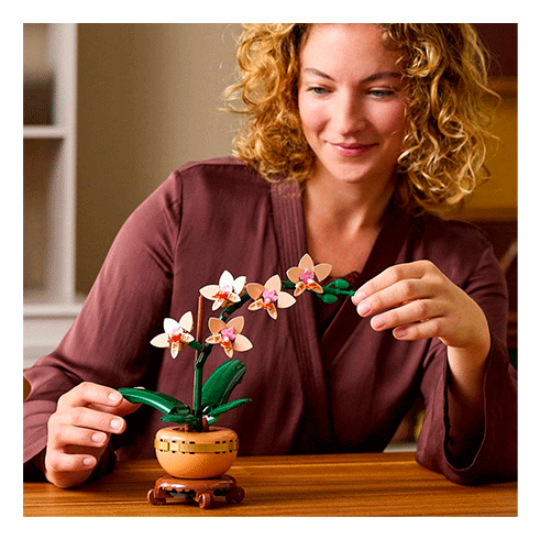 LEGO 10343 Botanicals Orquídea em Miniatura