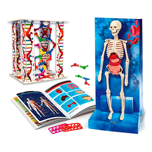 CLEMENTONI 67324 Ciência e Jogo O Corpo Humano (PT)