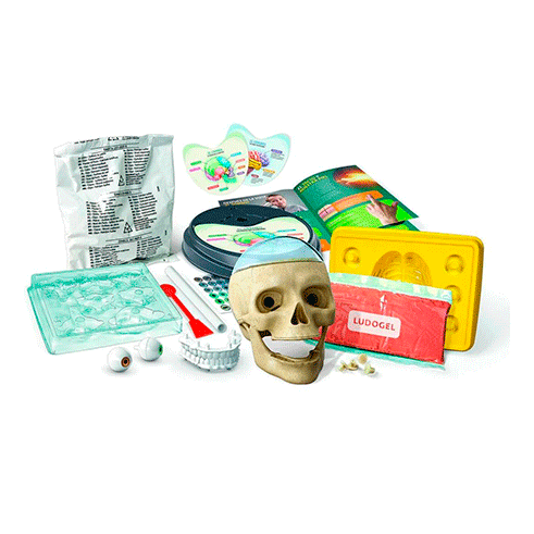 CLEMENTONI 67306 Ciência e Jogo Anatomia Surpreendente (PT)
