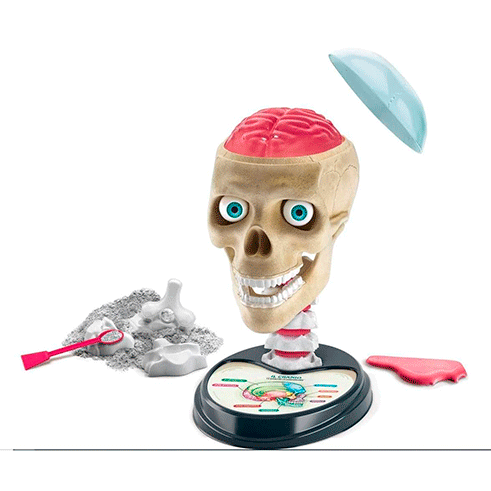CLEMENTONI 67306 Ciência e Jogo Anatomia Surpreendente (PT)