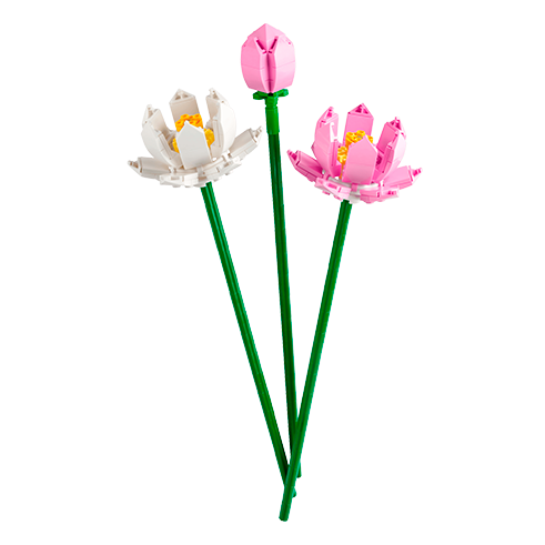 LEGO 40647 Botanicals Lotus Flowers