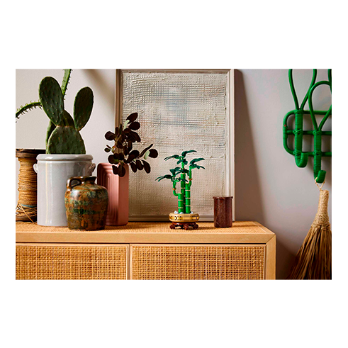 LEGO 10344 Botanicals Bambú de la Suerte