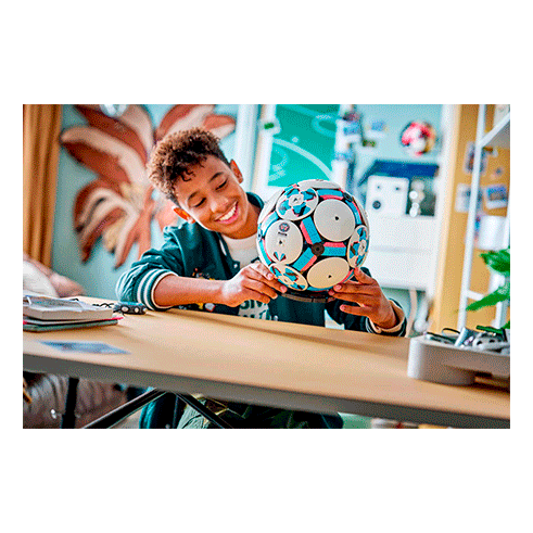 LEGO 43019 Editions Balón de Fútbol