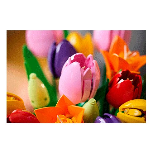 LEGO 11501 Botanicals Tulip Bouquet