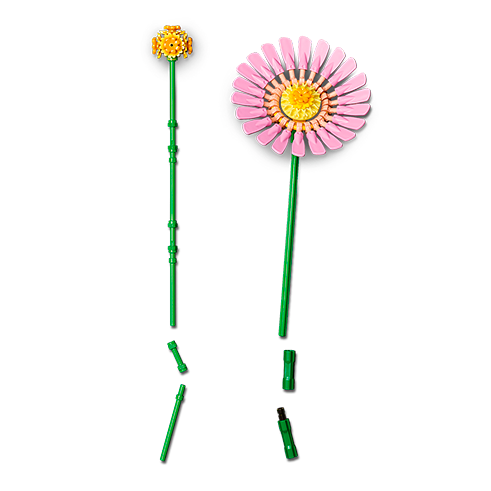 LEGO 10347 Botanicals Pequeno Buquê Soalheiro