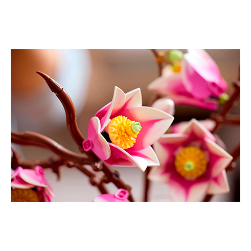 LEGO 11510 Botanicals Ramas de Magnolia